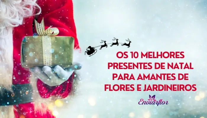 Os 10 melhores presentes de Natal para amantes de flores e jardineiros